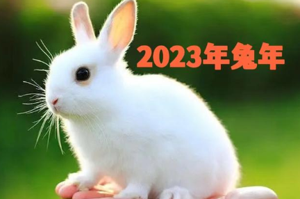 2023年属什么生肖(2023年属什么生肖太岁)