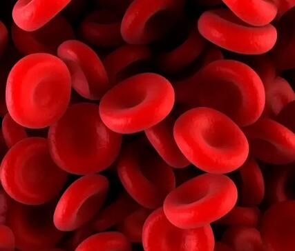 红细胞偏高是什么意思(尿常规检查红细胞高是什么意思)