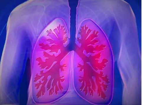 肺癌晚期最怕三个征兆(肺癌晚期能活多久)