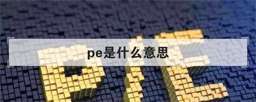 pe是什么意思(pe是什么意思电脑)