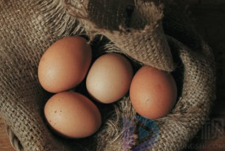 蛋中蛋是怎么形成的(蛋中蛋的原理)