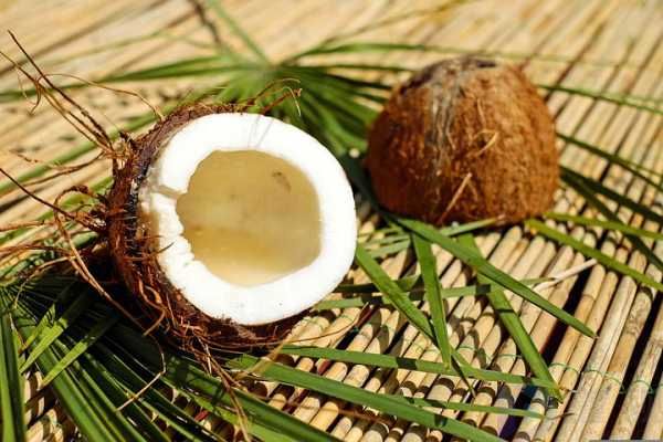椰子油有哪些功效与作用(椰子油的功能和作用)
