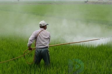 农用杀虫剂和杀菌剂有什么区别(农药配方分析杀虫与杀菌混用)