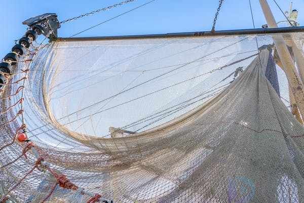 鱼网和渔网有什么区别(鱼网和渔网哪个正确)