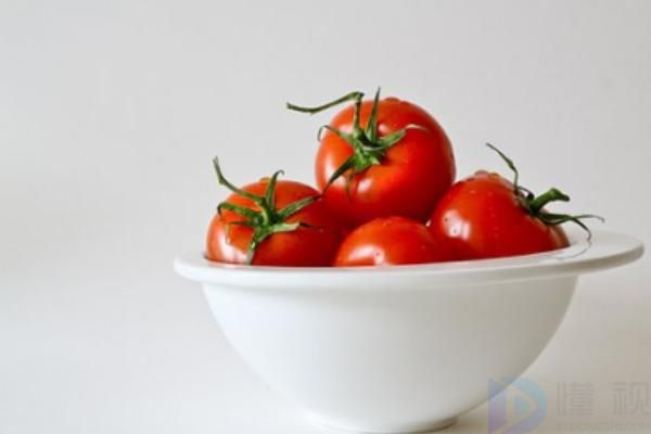 西红柿是什么季节的蔬菜(冬季反季节蔬菜有哪些)
