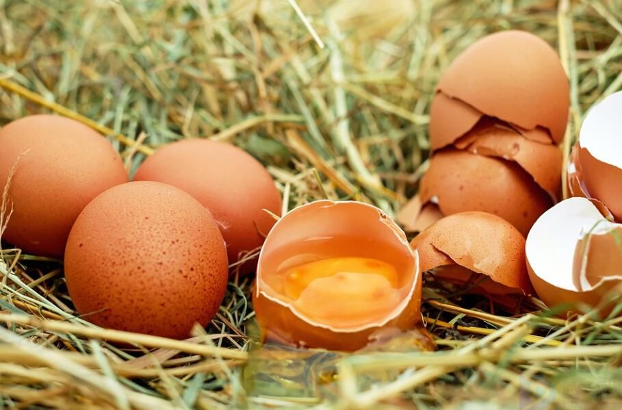 最大的鸡蛋有多少克
